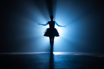 Young beautiful ballerina on smoke stage dancing modern ballet. Performs smooth movements with hands against spotlight background. Woman in black tutu costume on scene. - obrazy, fototapety, plakaty