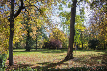 Autumnal landscape in the Retiro park in Madrid. Spain