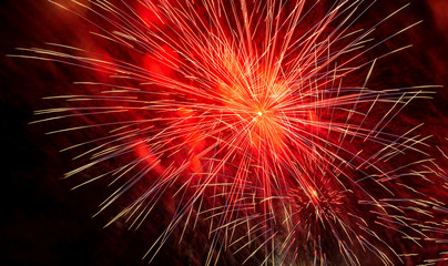 Nice, colorful fireworks abstract in the evening