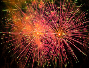 Nice, colorful fireworks abstract in the evening