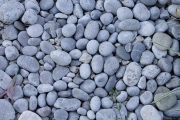 Sea pebbles.