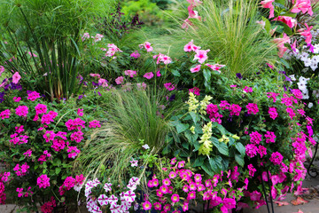 Pink petunias, fuchsia verbena, vinca, mexican feather grass and ornamental grasses