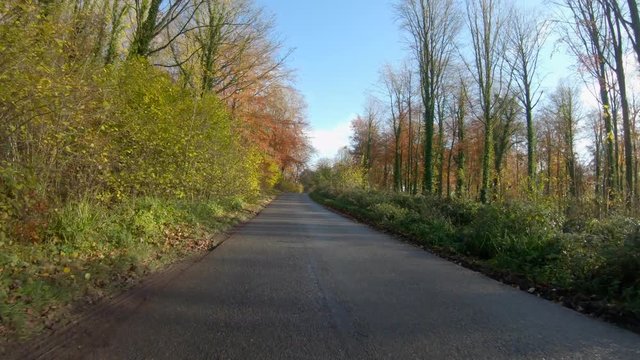 Golden autumn colors. Driving along a sunlit tree lined woodland road in the fall in Northamptonshire in England UK.