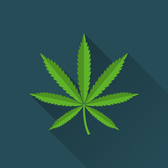 Cannabis. Marijuana leaf drug flat design icon with a long shadow. EPS10 vector