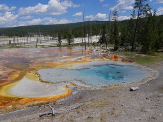 Boiling blue waters of Celestine Pool at Lower Geyser Basin, with clear skies at Yellowstone National Park, Wyoming.
