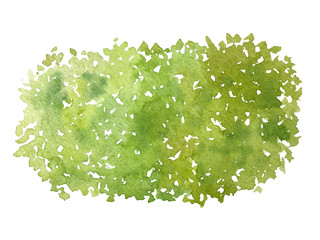 Green hedge element top view for landscape design