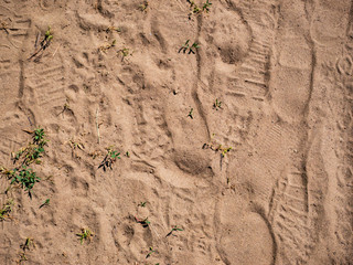 Foot Prints detail on sandy hiking trail