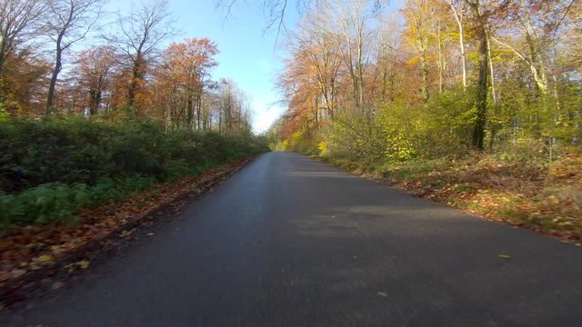 Golden autumn colors. Driving along a sunlit tree lined woodland road in the fall in Northamptonshire in England UK.