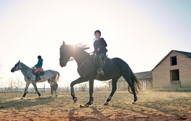 girl rides a horse in the arena