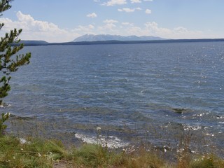 Yellowstone Lake with the tips of a pine tree at Yellowstone National Park, Wyoming, USA.