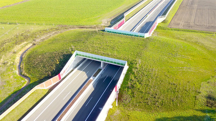 Grünbrücke über Schnellstraße als Biotopverbund