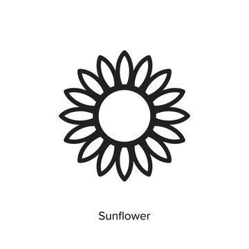 Sunflower icon vector flower illustration on white background