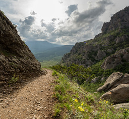 Fototapeta na wymiar mountain landscape, path and flowers, trekking in the mountains