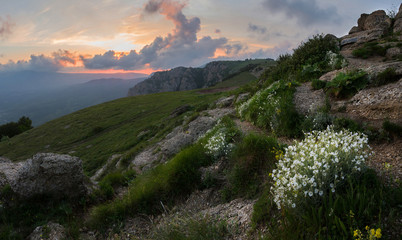 sunset in the mountains of flowers, stones and sun