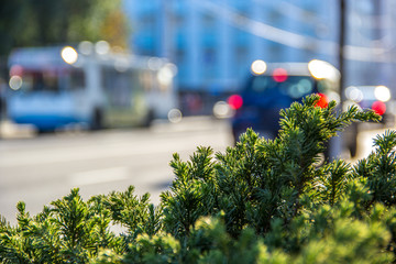 Abstract blurred street and cars. Blurred city background