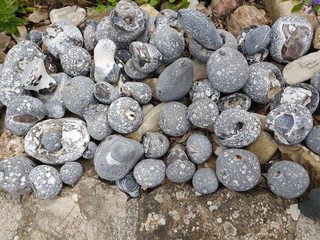 pebbles on beach