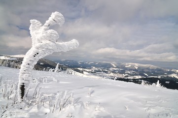 Snow-covered tree on a background of mountains