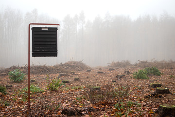 Insect trap for bark beetle (Ips typographus) at foggy forest. Natural disaster and deforestation...
