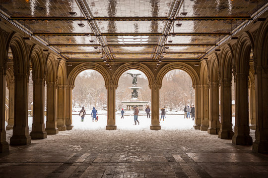 People in the snow in a park