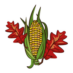 corn cob vegetable and leafs thanksgiving icon