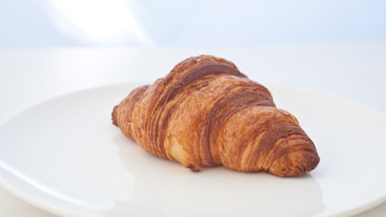 croissant in white background