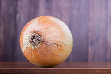 Closeup on whole onion
