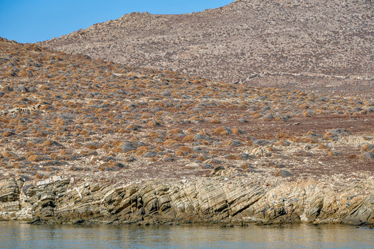 Isla Griega Renia