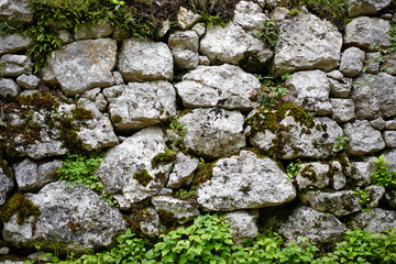 Mauer, Steine, Efeu, Struktur, Textur