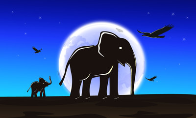 elefants, big elefant and little child elefant in africa desert by night blue sky with moon stars and birds