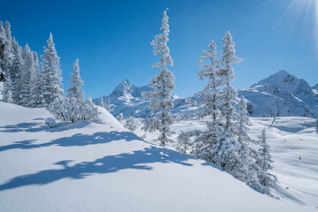 Verschneite Winterlandschaft