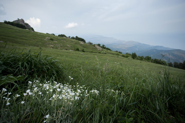 mountain landscape, Ghost Valley, grass, rocks