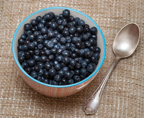 Blueberry in the bowl. on fabric background