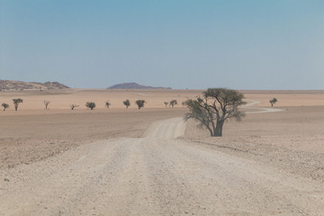 Welwitschia drive road, Namibia, Africa
