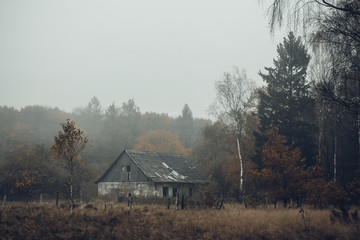 abandoned house in the woods, the old house on the edge of the forest in the fog