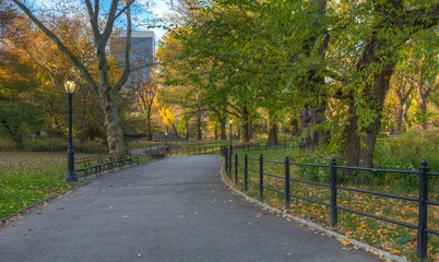 Fototapeta na wymiar Autumn in Central Park