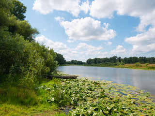 landscape: boat on the river, trees, sky with clouds