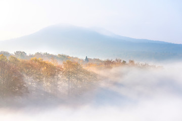herbstnebel © Matthias