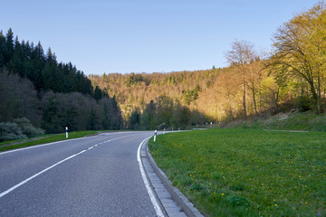 Fototapeta na wymiar Beautiful spring landscape with a road between trees, sunny day and blue sky in the German forest Schwarzwald
