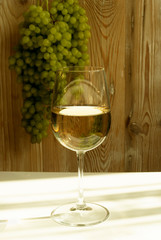 White Wine Glass on Ripe Green Grapes Background in Sunny Day