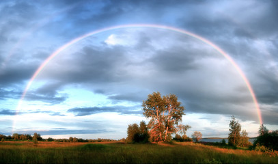 rainbow on a field