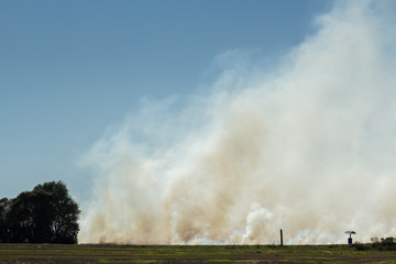 Fototapeta na wymiar fire on the field, burning grass, white smoke on a sunny day