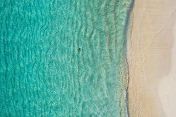 Aerial top down view of a lonely black tip fin shark swimming and hunting for a small fish in the early morning in the shallow tropical turquoise clear waters of exotic island