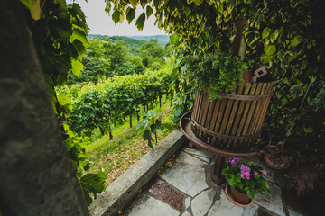 Old grape press on a balcony with beautiful background