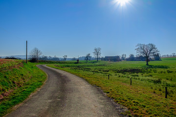 Country lane in Normandy by the village of Torchamp bordered by agriculture fields on a sunny day, France