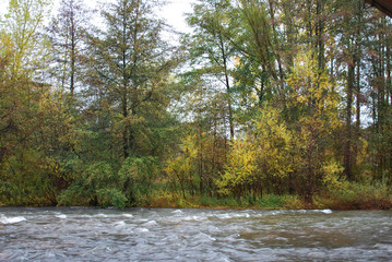 Naturaleza en oto&ntilde;o