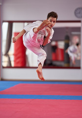 Young karate student executing a kata © Xalanx