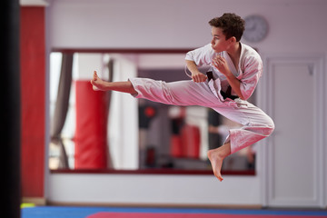Young karate student executing a kata - obrazy, fototapety, plakaty