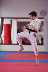 Young karate student executing a kata © Xalanx