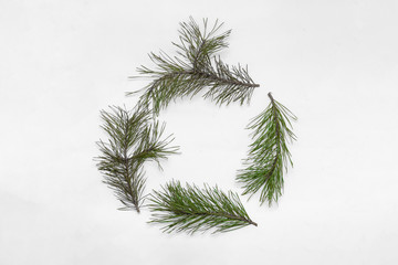 Pine background for christmas
