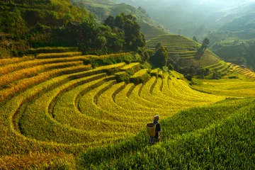Photo sur Plexiglas Mu Cang Chai Matinée lumineuse de rizières en terrasses à Mu cang chai, Yenbai, Vietnam.